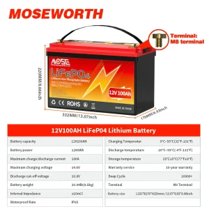 LiFePO4 12V 100Ah Battery Pack 12.8V Lithium Battery