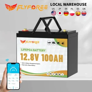 12V 100Ah LiFePO4 Battery Pack