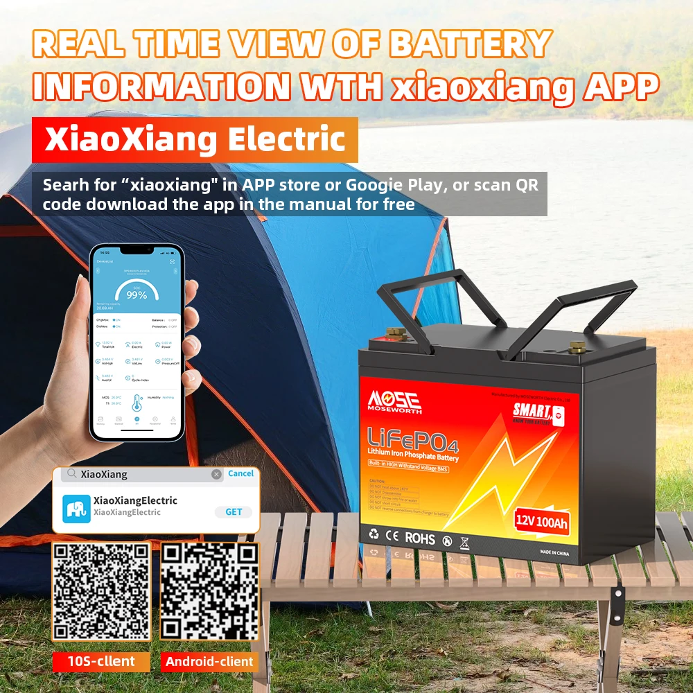 LiFePO4 12V 100Ah Battery Pack 12.8V Lithium Battery - Image 3
