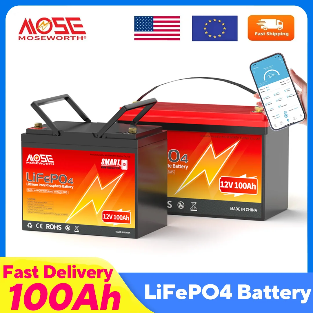 LiFePO4 12V 100Ah Battery Pack 12.8V Lithium Battery - Image 2